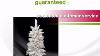 Northlight 4' Northern Pine Full Artificial Christmas Tree Warm Clear Led Lights